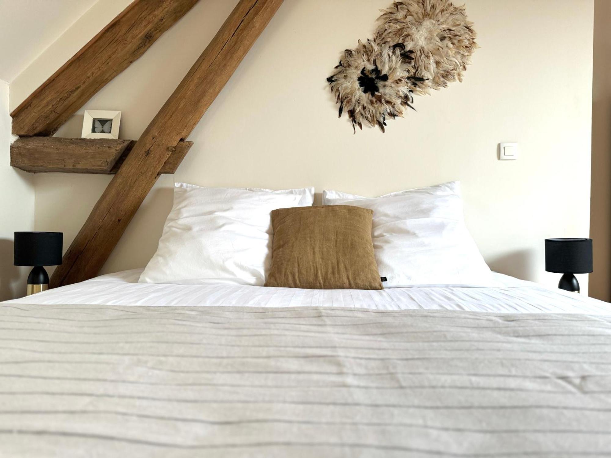 Le Moulin D Olivet Bed & Breakfast Orbigny Luaran gambar