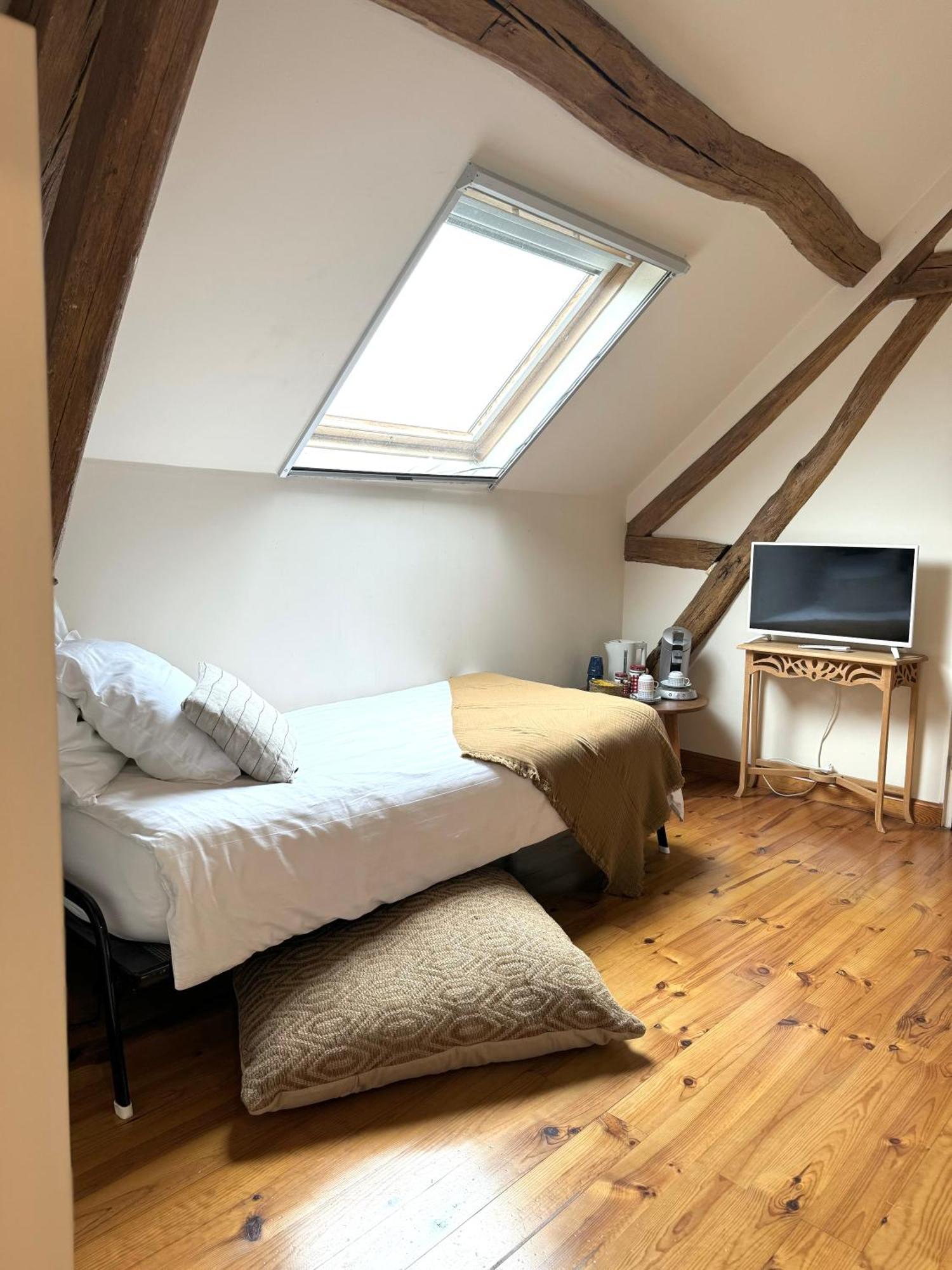 Le Moulin D Olivet Bed & Breakfast Orbigny Luaran gambar