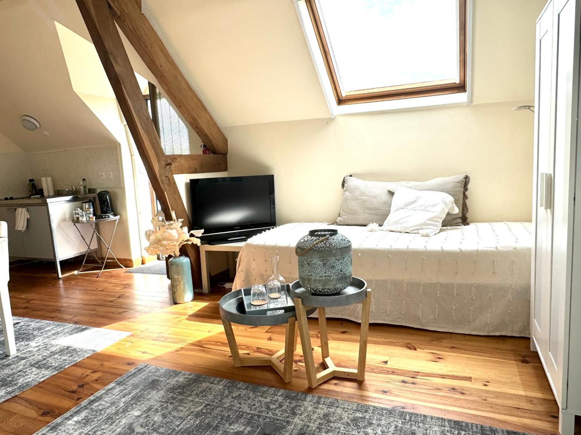 Le Moulin D Olivet Bed & Breakfast Orbigny Luaran gambar