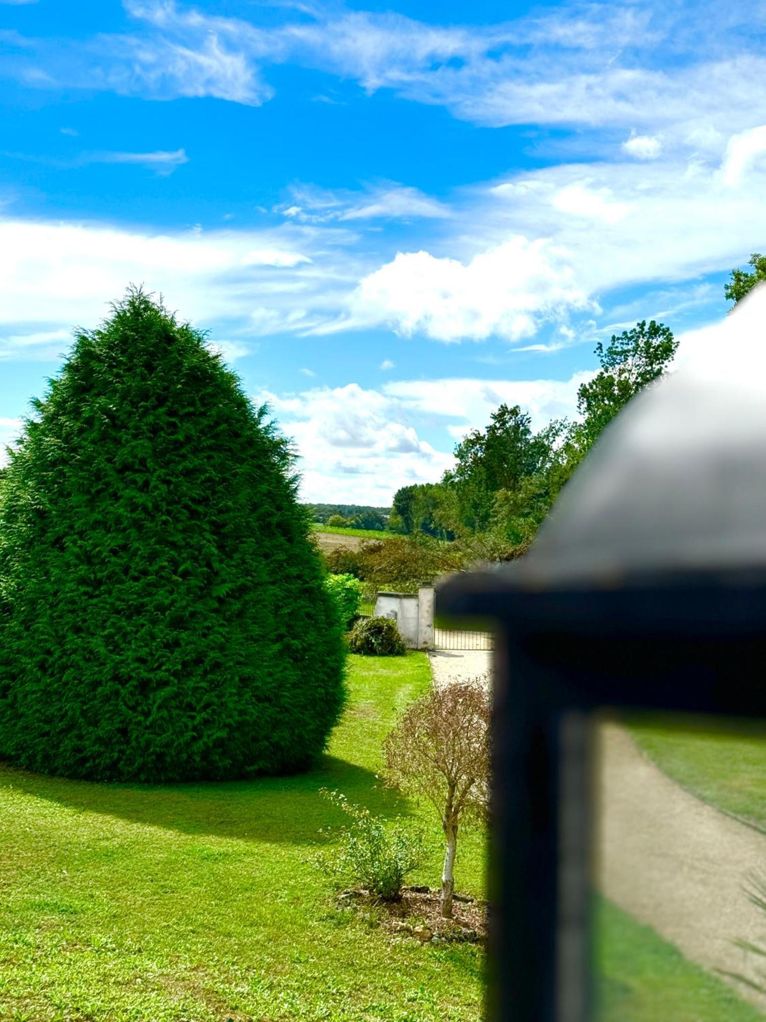 Le Moulin D Olivet Bed & Breakfast Orbigny Luaran gambar