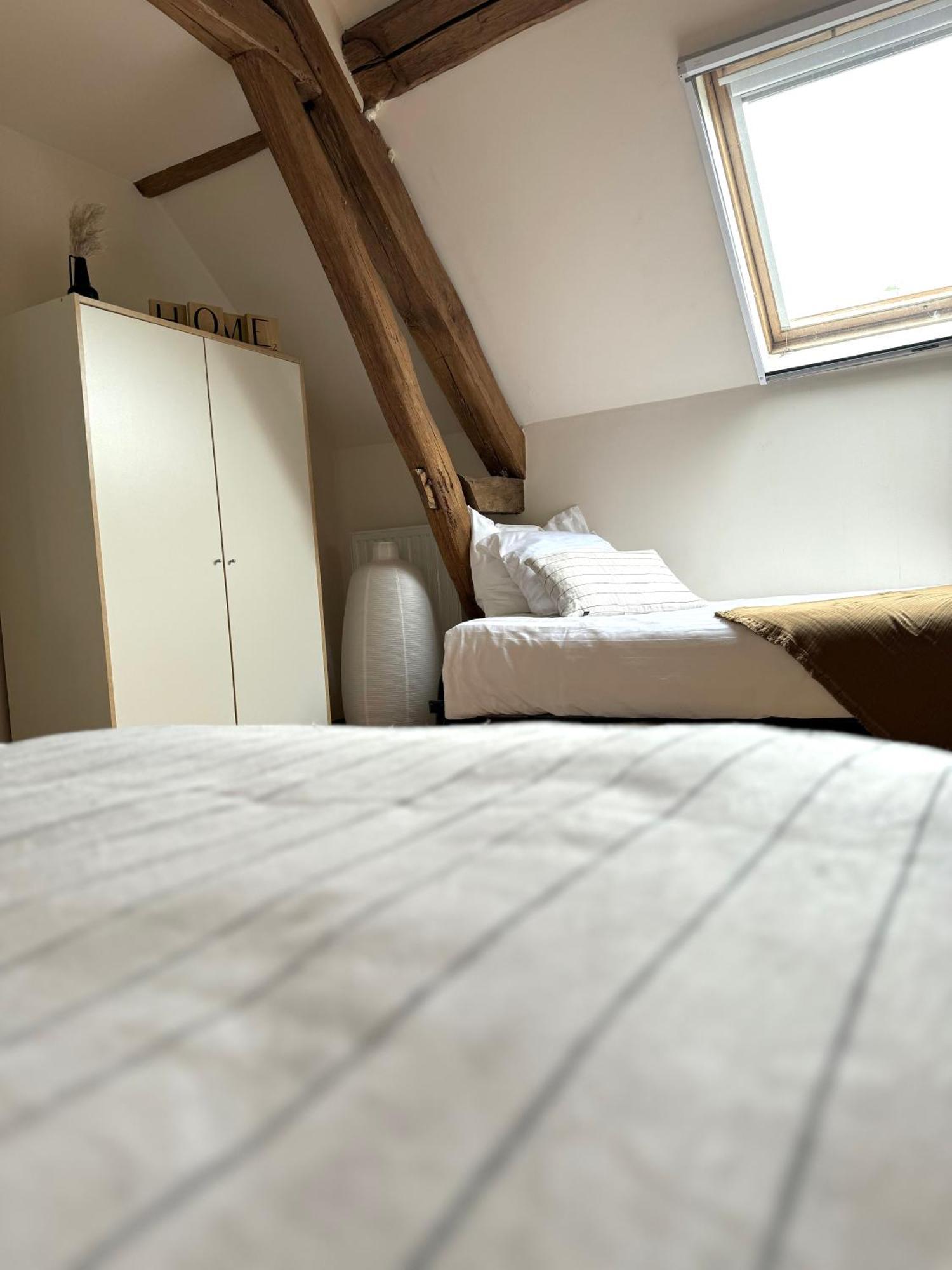 Le Moulin D Olivet Bed & Breakfast Orbigny Luaran gambar