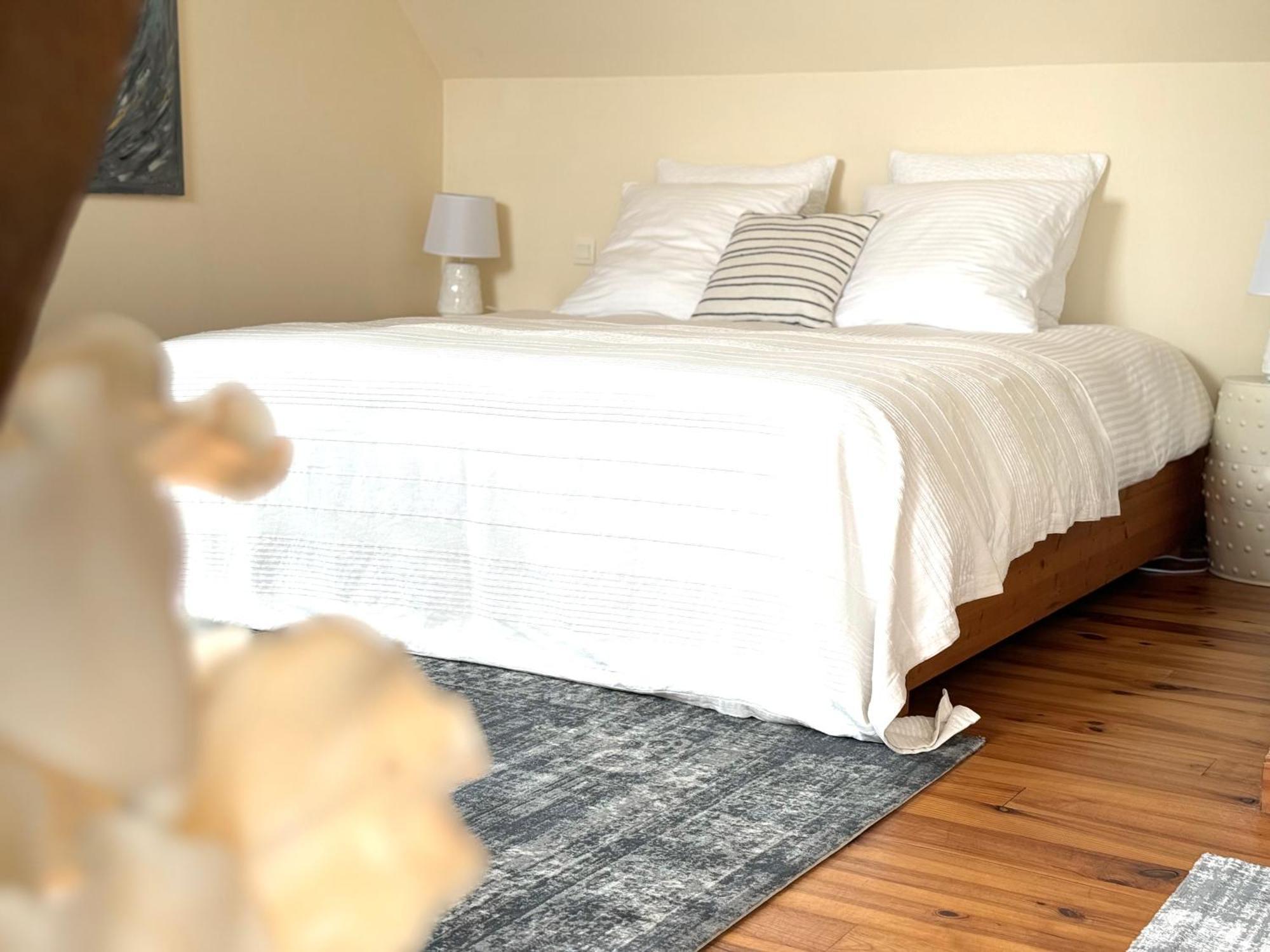 Le Moulin D Olivet Bed & Breakfast Orbigny Luaran gambar