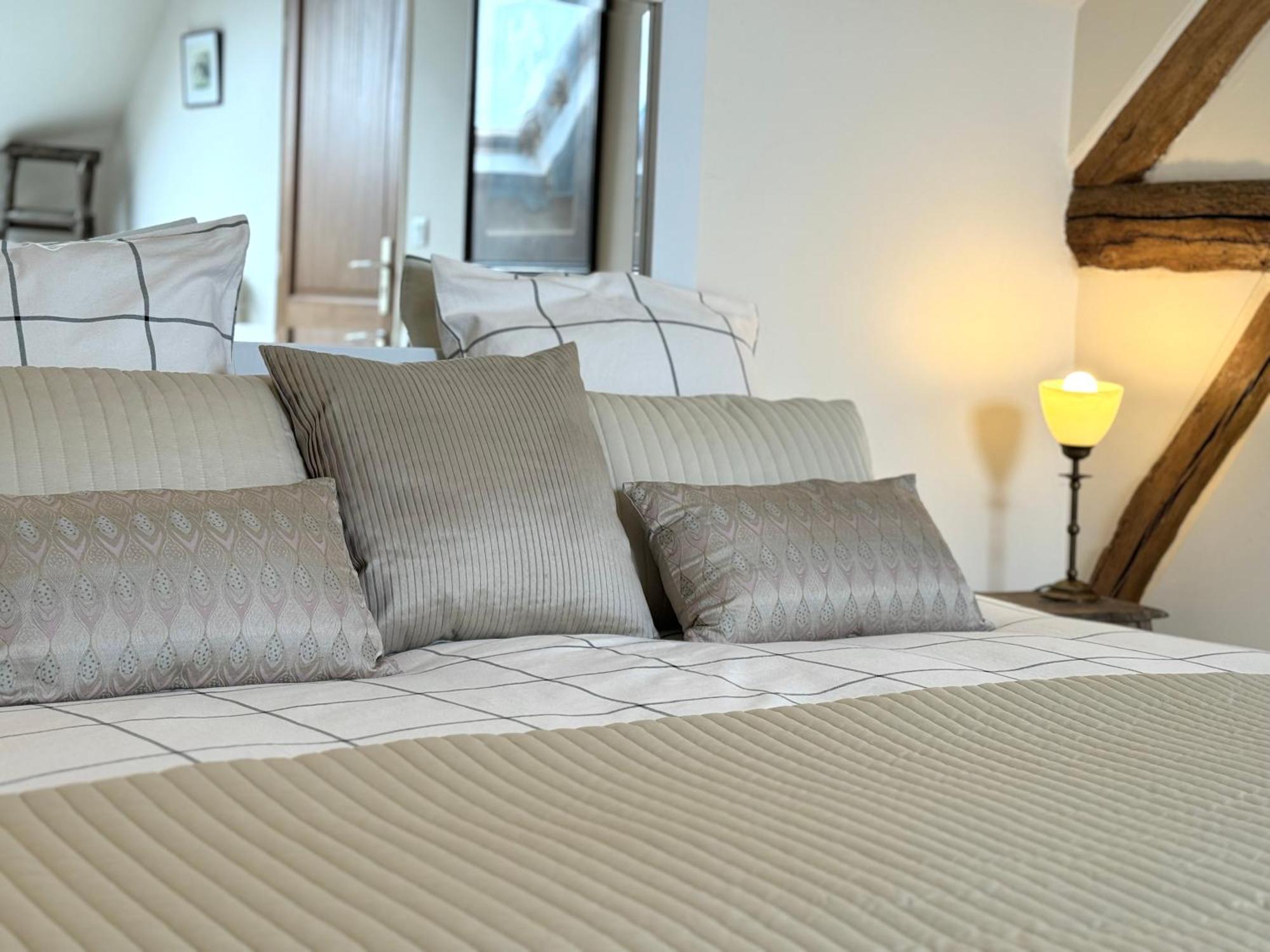 Le Moulin D Olivet Bed & Breakfast Orbigny Luaran gambar