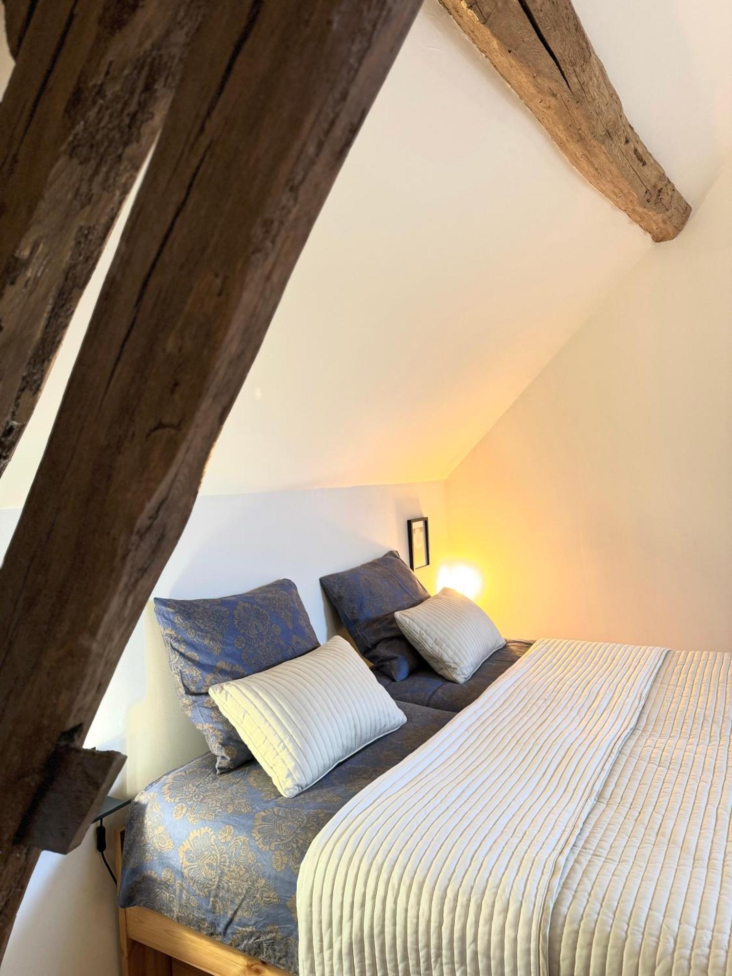 Le Moulin D Olivet Bed & Breakfast Orbigny Luaran gambar